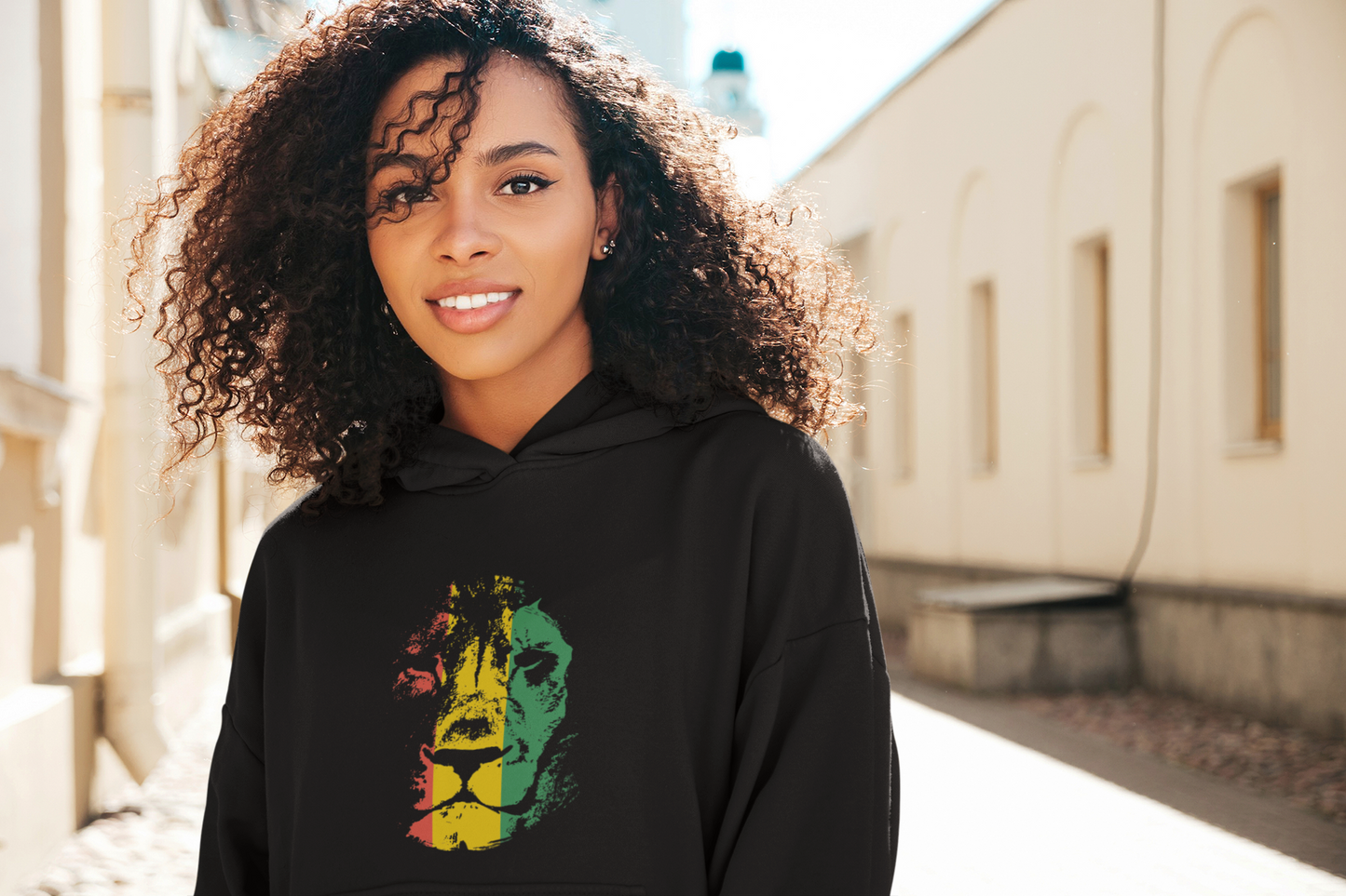 Reggae Faded Pride - Hoodie / Sweatshirt